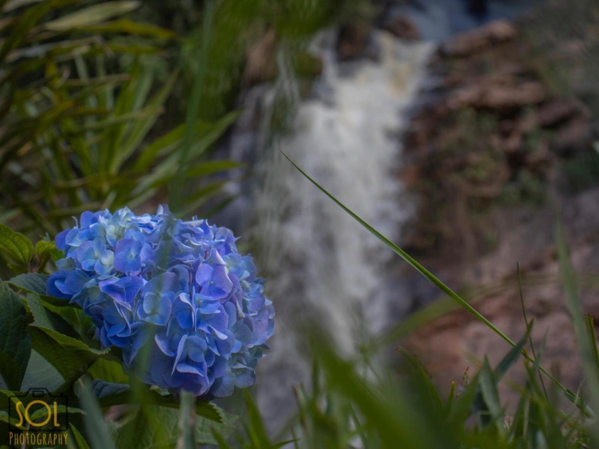 Pousada Aguas Da Mata Brejetuba エクステリア 写真