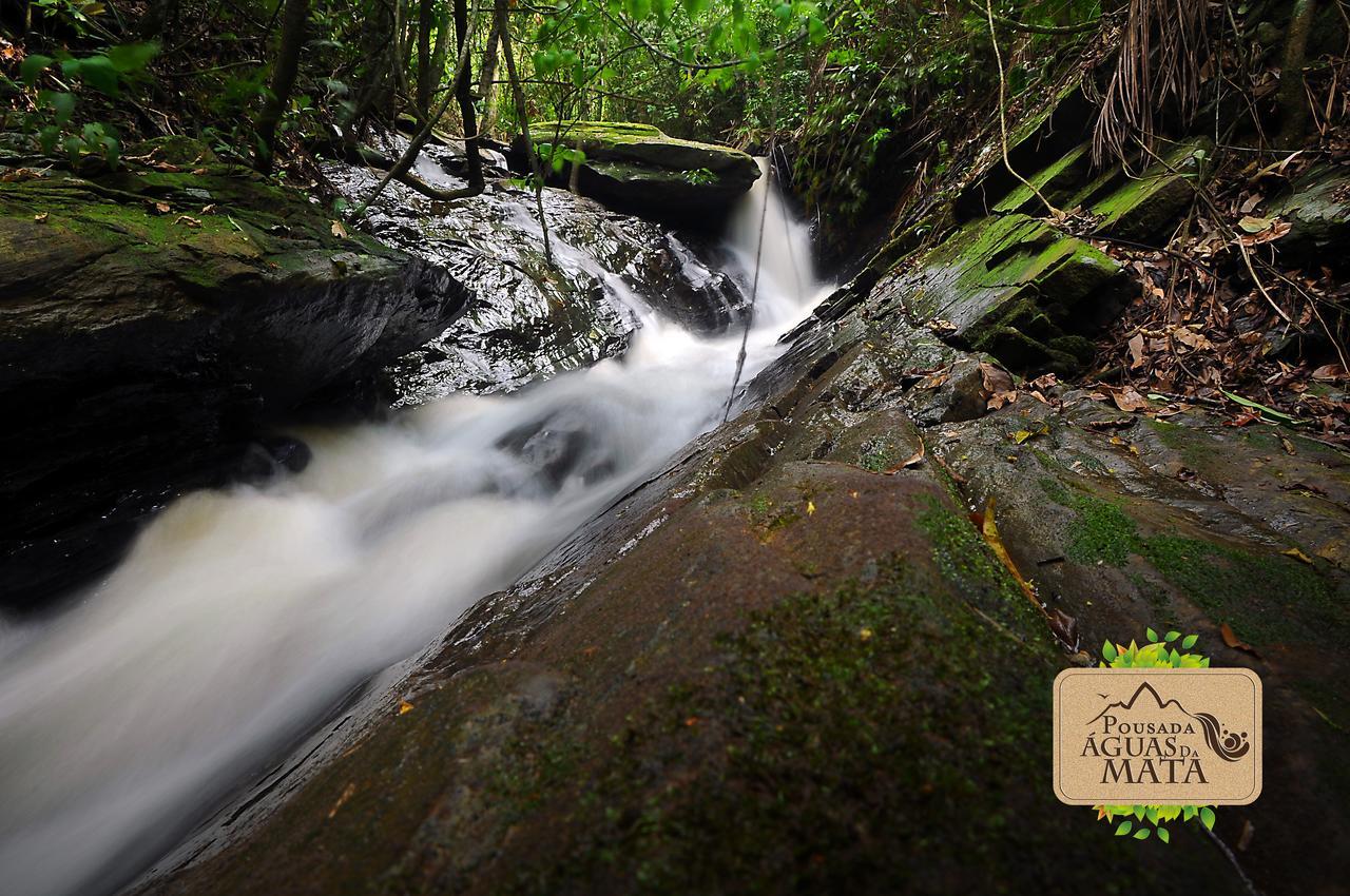 Pousada Aguas Da Mata Brejetuba エクステリア 写真