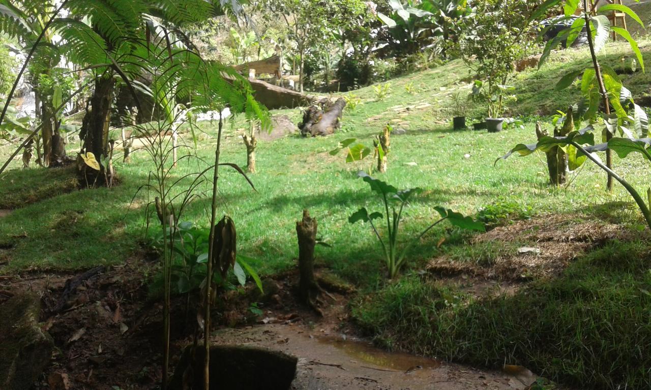 Pousada Aguas Da Mata Brejetuba エクステリア 写真