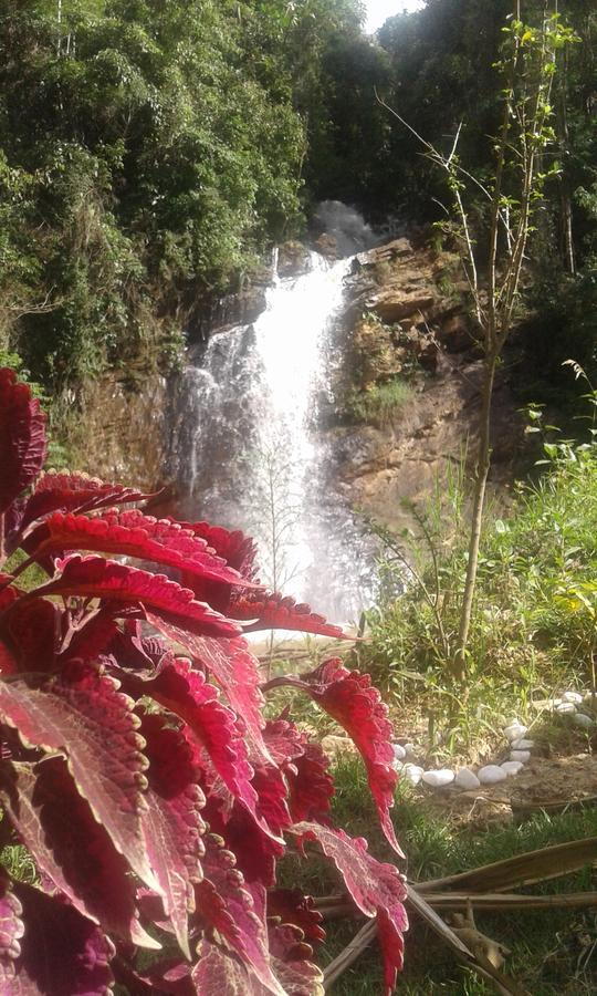 Pousada Aguas Da Mata Brejetuba エクステリア 写真