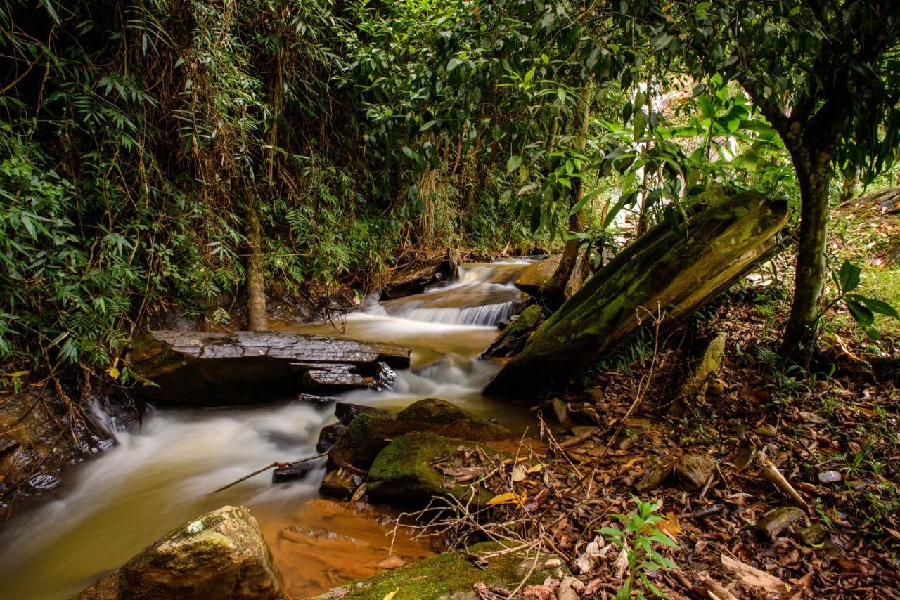 Pousada Aguas Da Mata Brejetuba エクステリア 写真